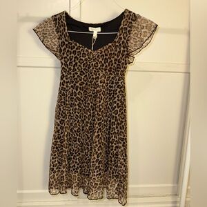 Leopard Print Dress with Sheer Sleeves